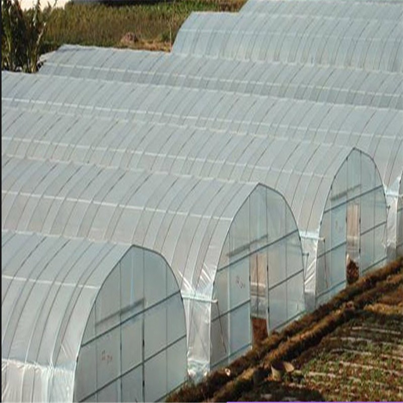 film greenhouse