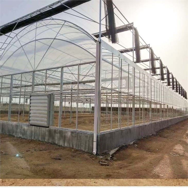 Multispan Film Greenhouse With Vertical Farming Hydroponic