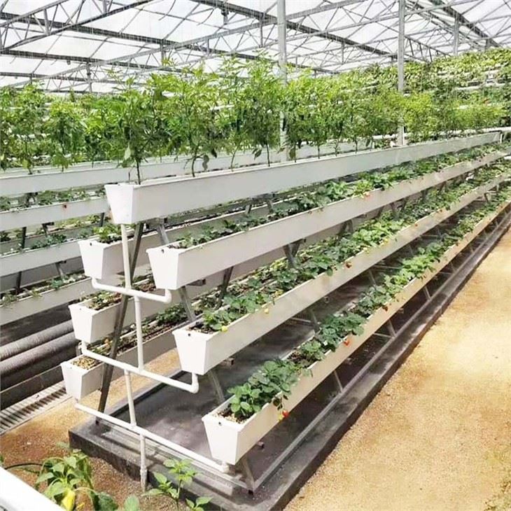 Planting Gutter For Lettuce And Strawberry in Greenhouse