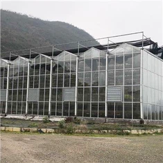 Muti-span Green Houses