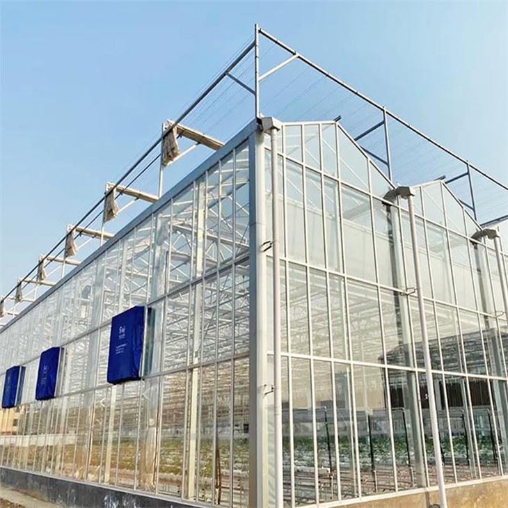 Industrial Greenhouses From China