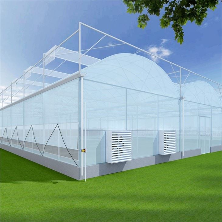 Industrial Greenhouses From China