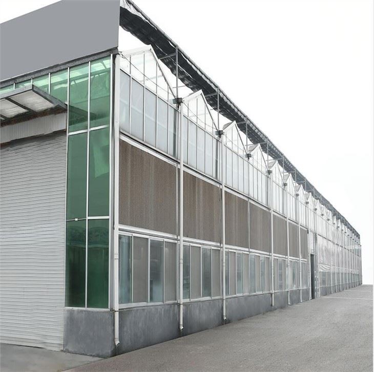 Industrial Greenhouses From China