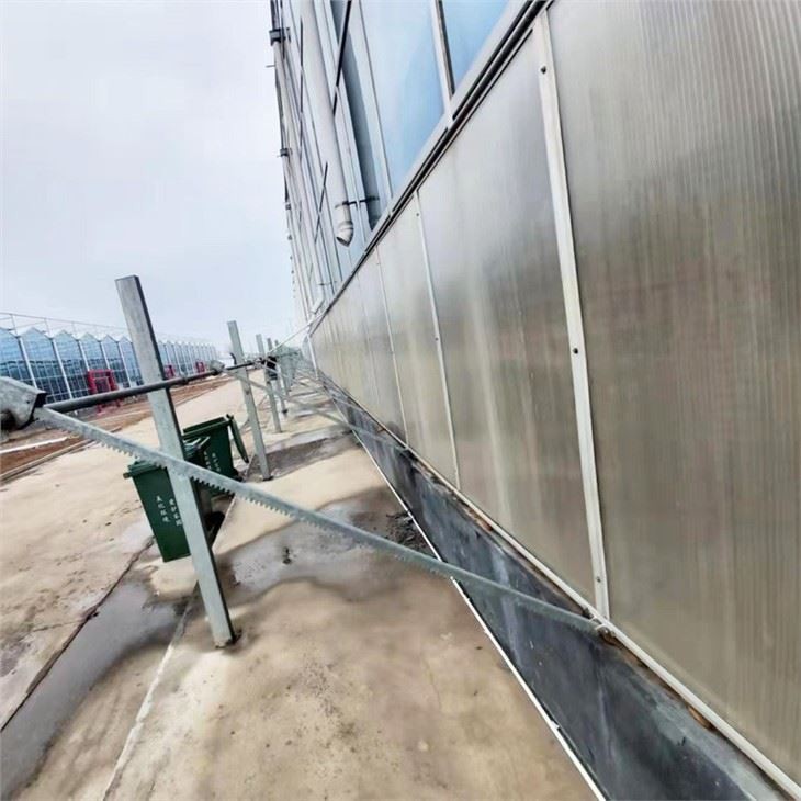 Industrial Greenhouses From China